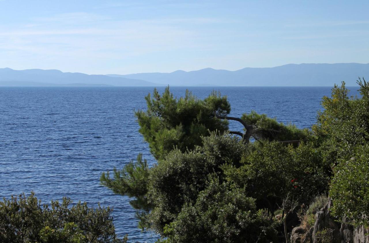Seaside Secluded Apartments Cove Torac, Hvar - 4875 Gdinj Bagian luar foto